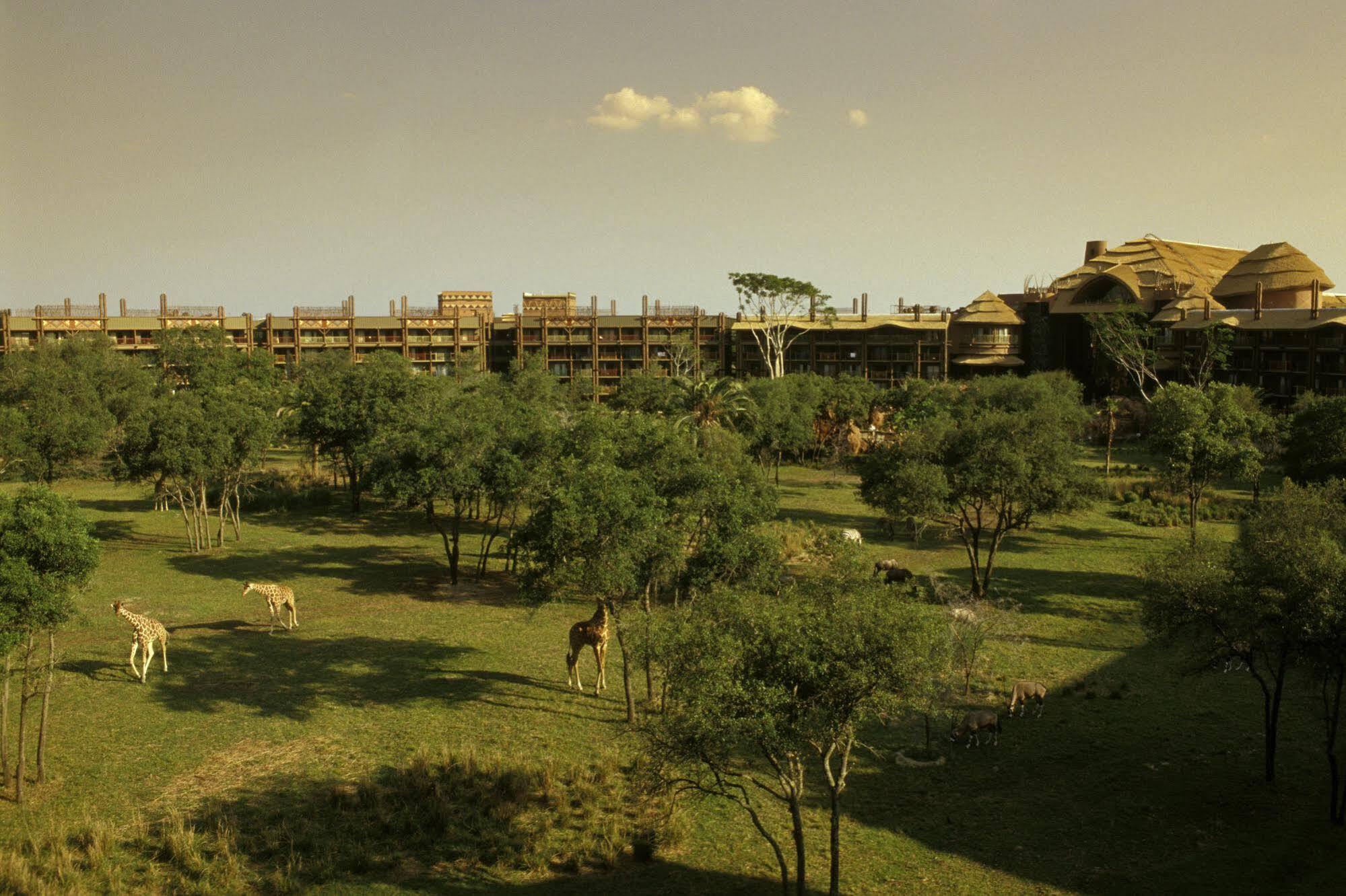 Disney'S Animal Kingdom Villas - Jambo House Celebration Exterior foto